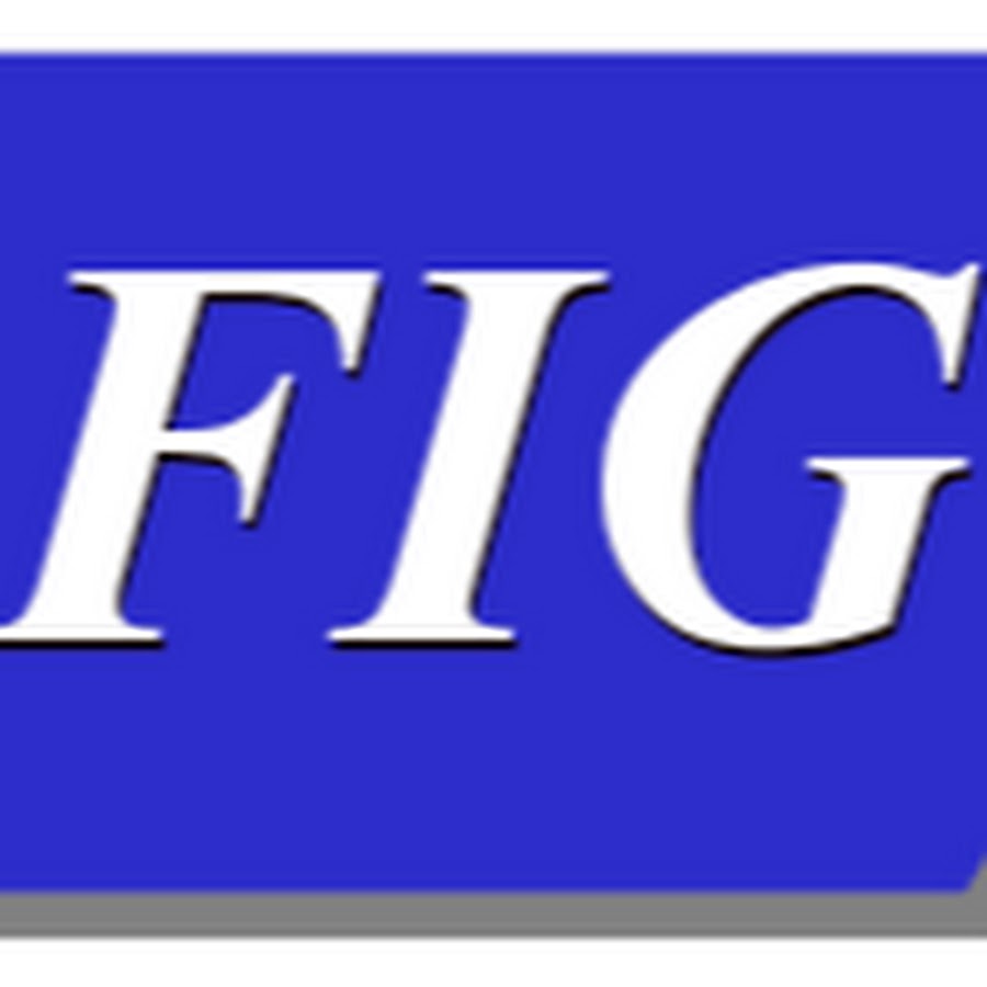 FIG INC YouTube