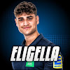What could Eligella buy with $615.3 thousand?