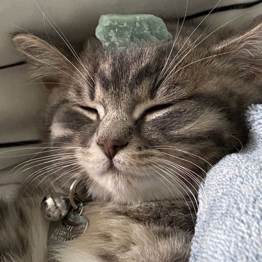 Yolanda Villarreal - YouTube