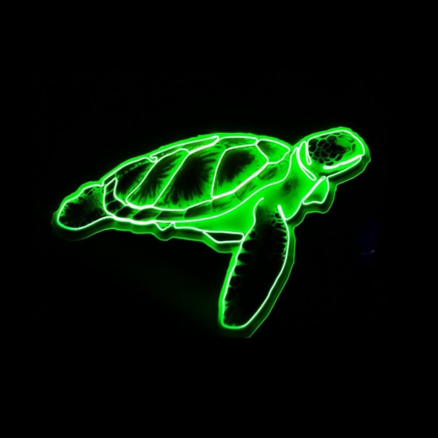 Black Turtle - YouTube
