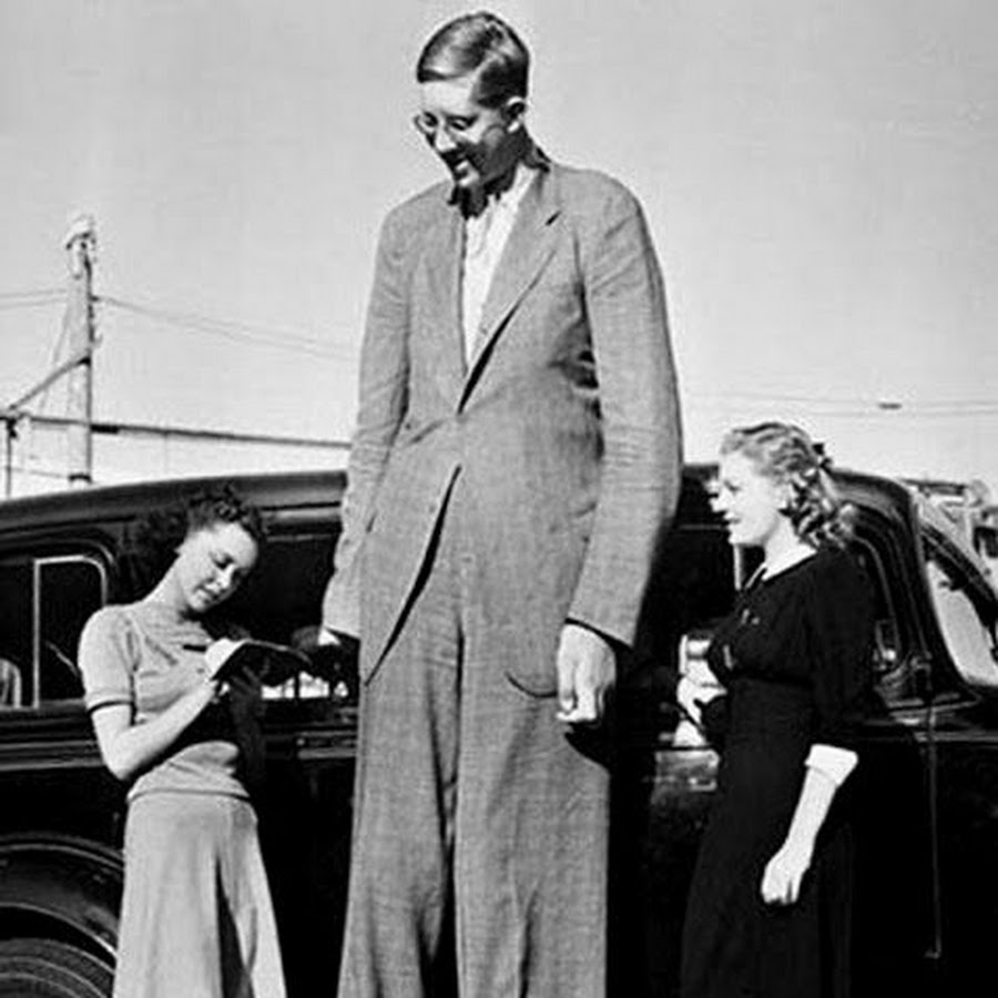 Robert Wadlow - YouTube