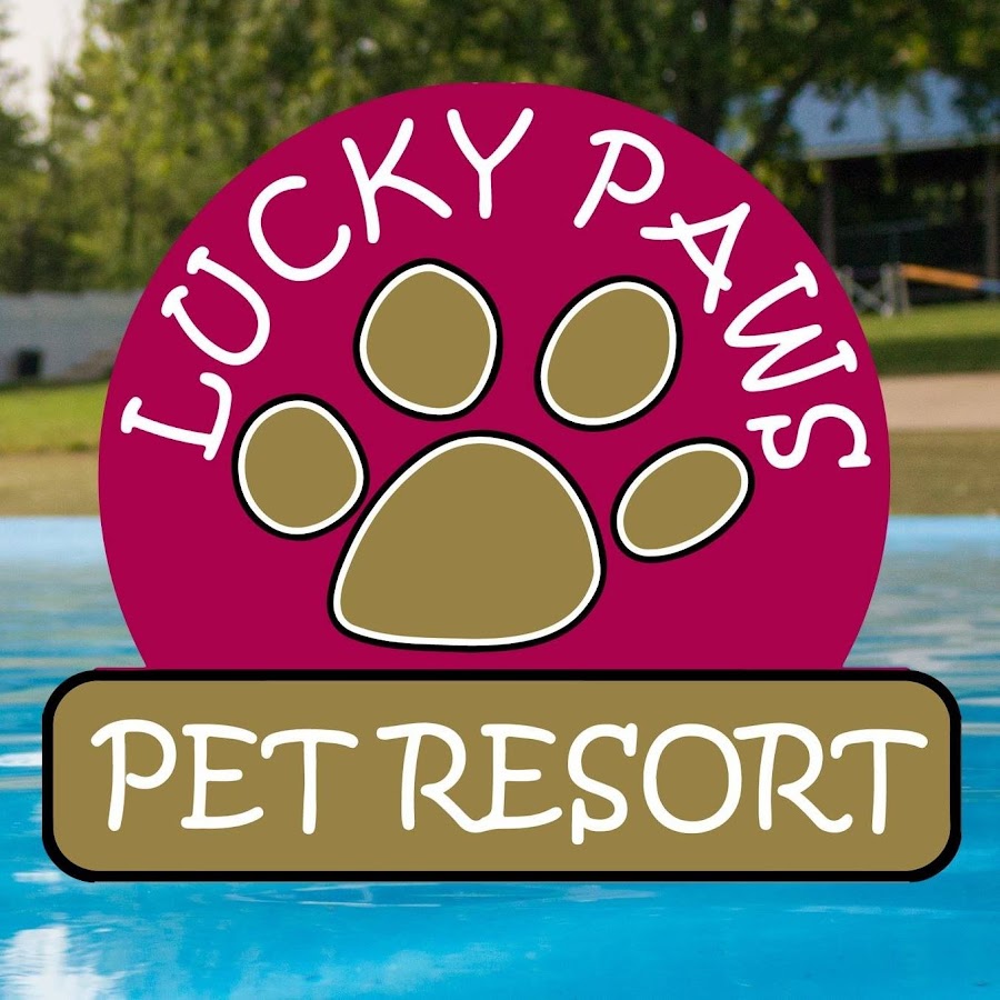 Lucky Paws Pet Resort YouTube