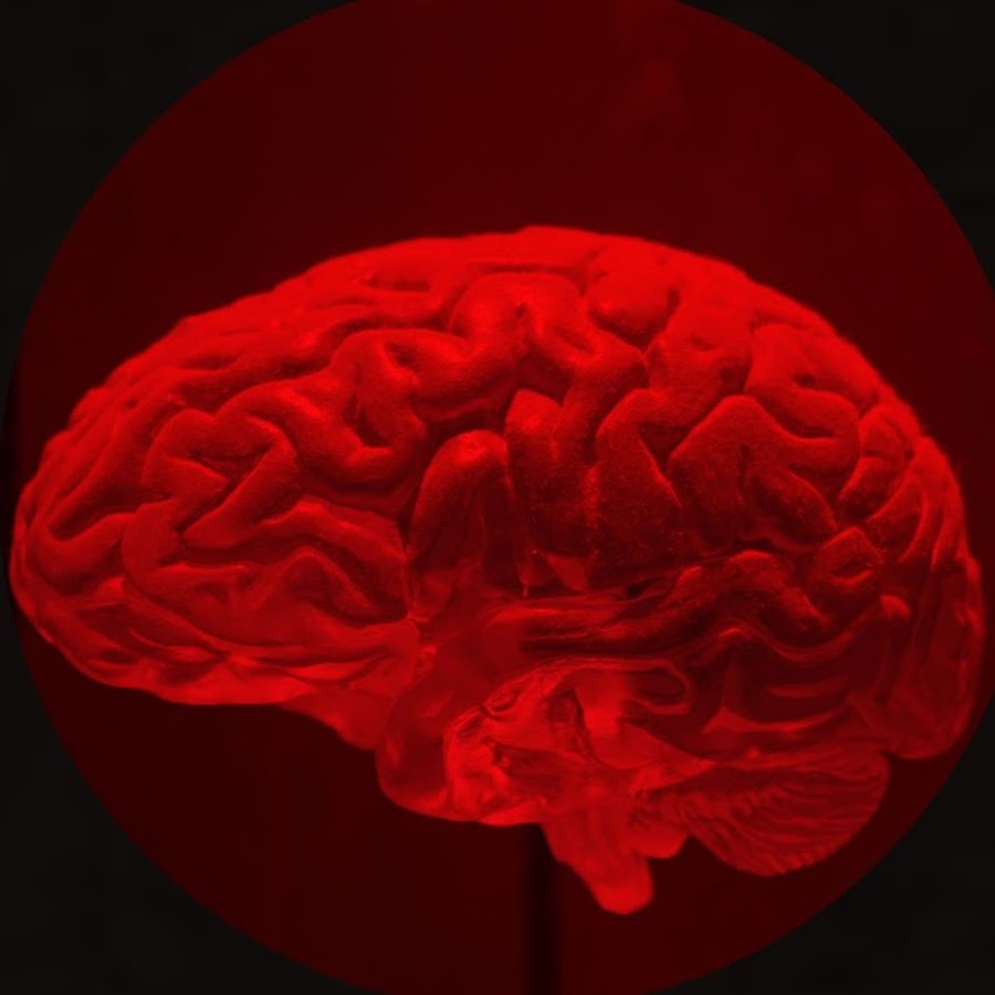 KingAmy native kitchen YouTube