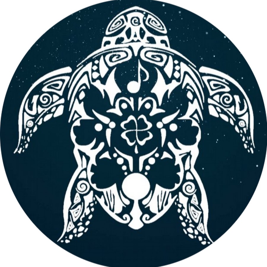 The Irish Turtle YouTube