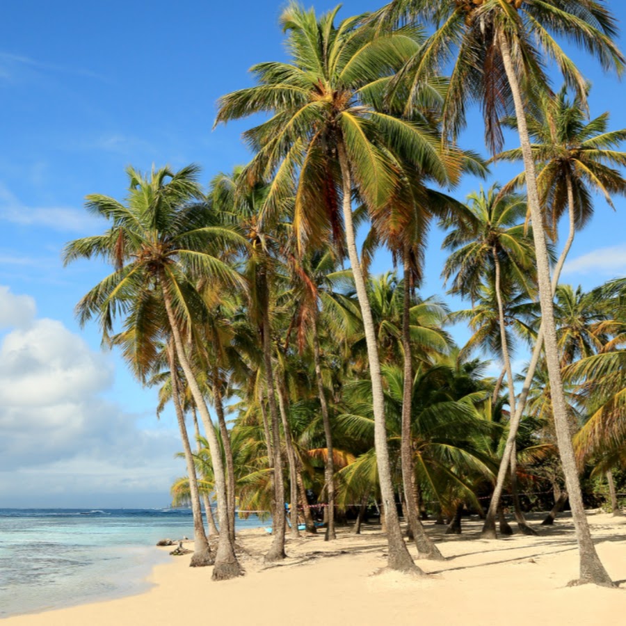 город парадайз постал 2. камала парадайз 1. Two paradise. пацифик бриз мисс хейлала. Two paradise.