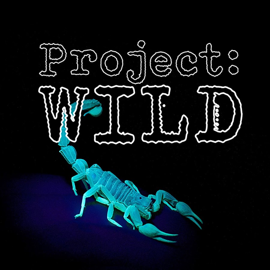 Project WILD YouTube