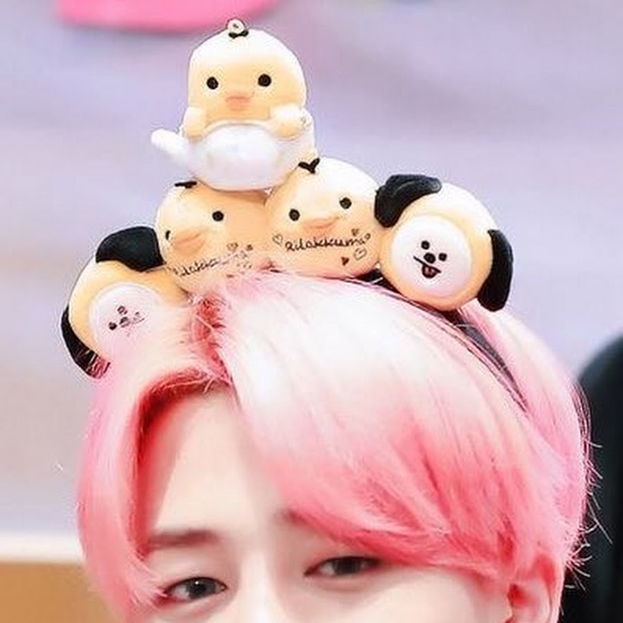 chim chim plush bts