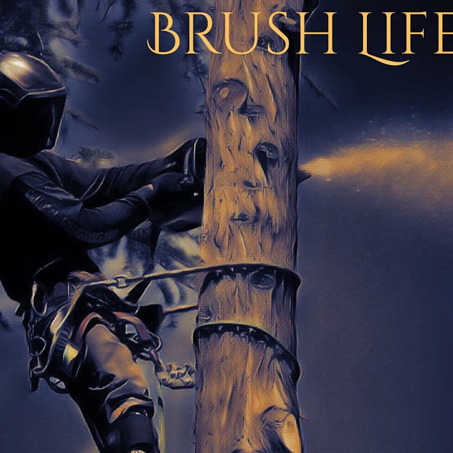 BRUSH LIFE YouTube