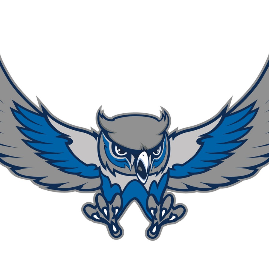Logo еспортс Филин