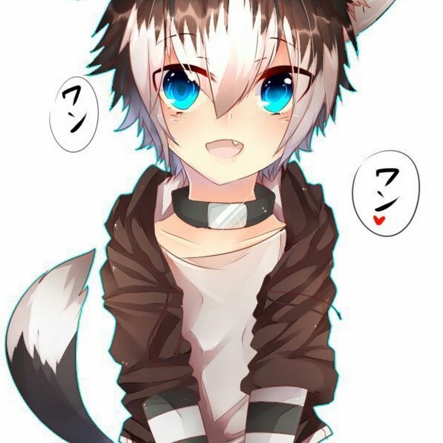 Кошка мальчик аниме