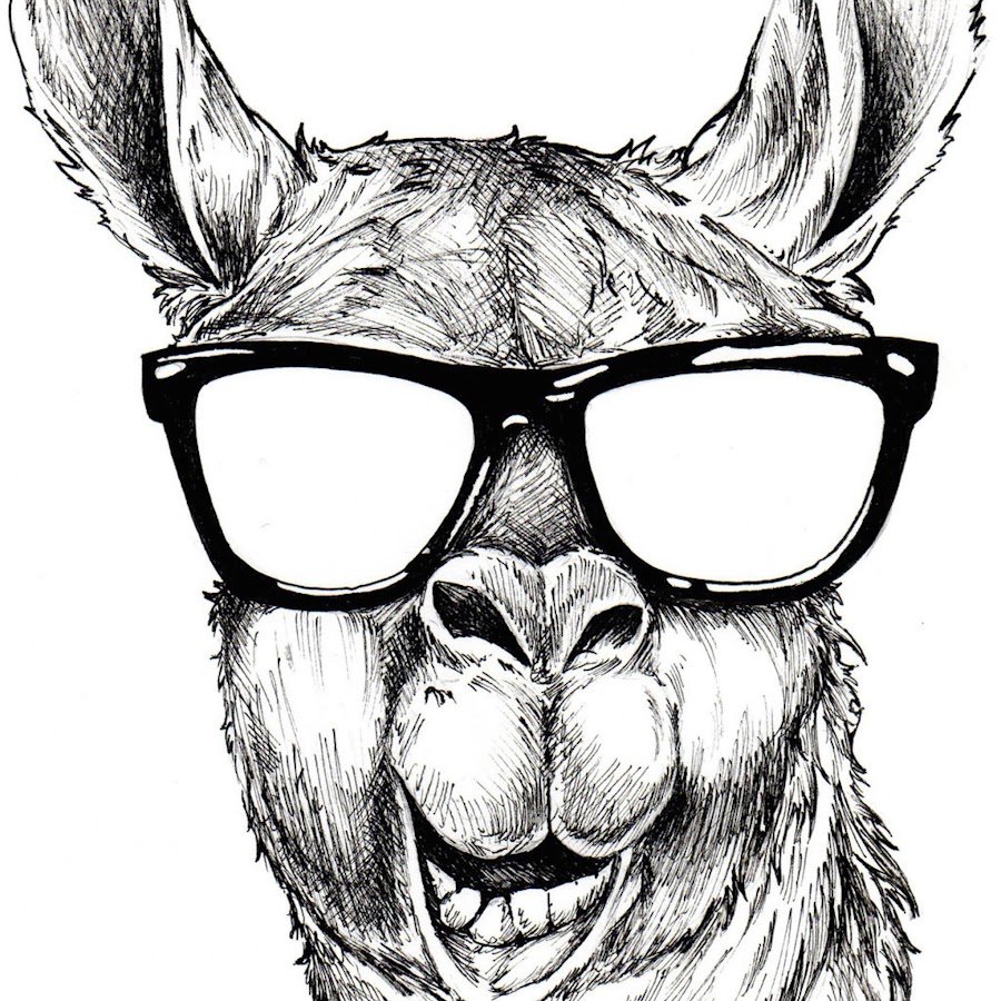 The Minecraft Llama - YouTube