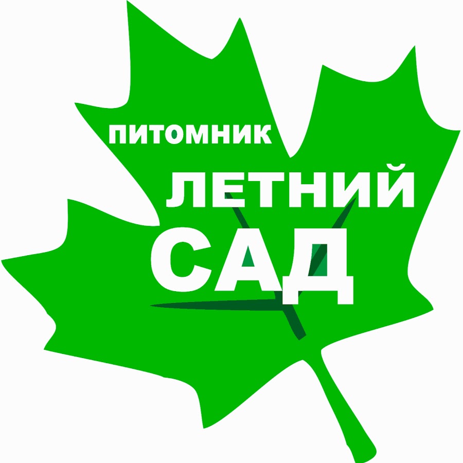 Интернет Магазин Лето Сад