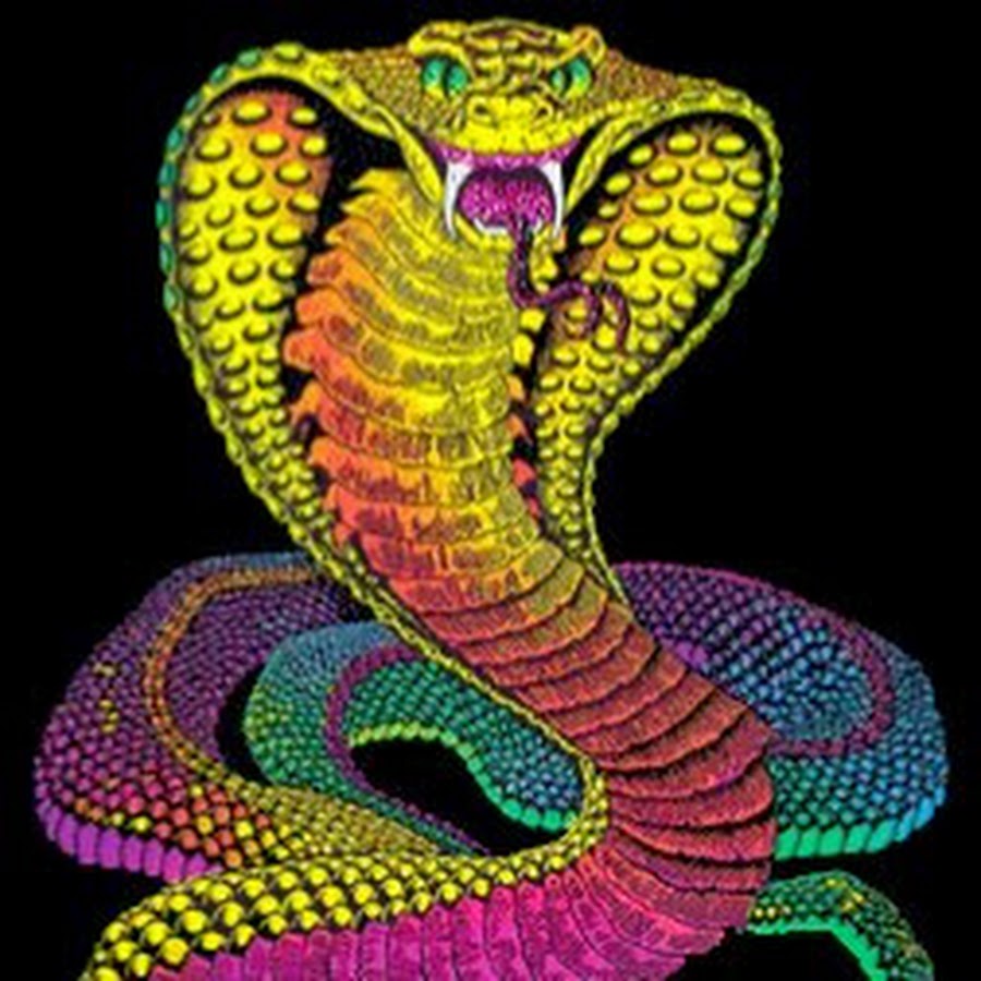 Змеи цветовая схема. Анимированные змеи. Кобра цветная. Психоделика змеи. Танцующая змея.