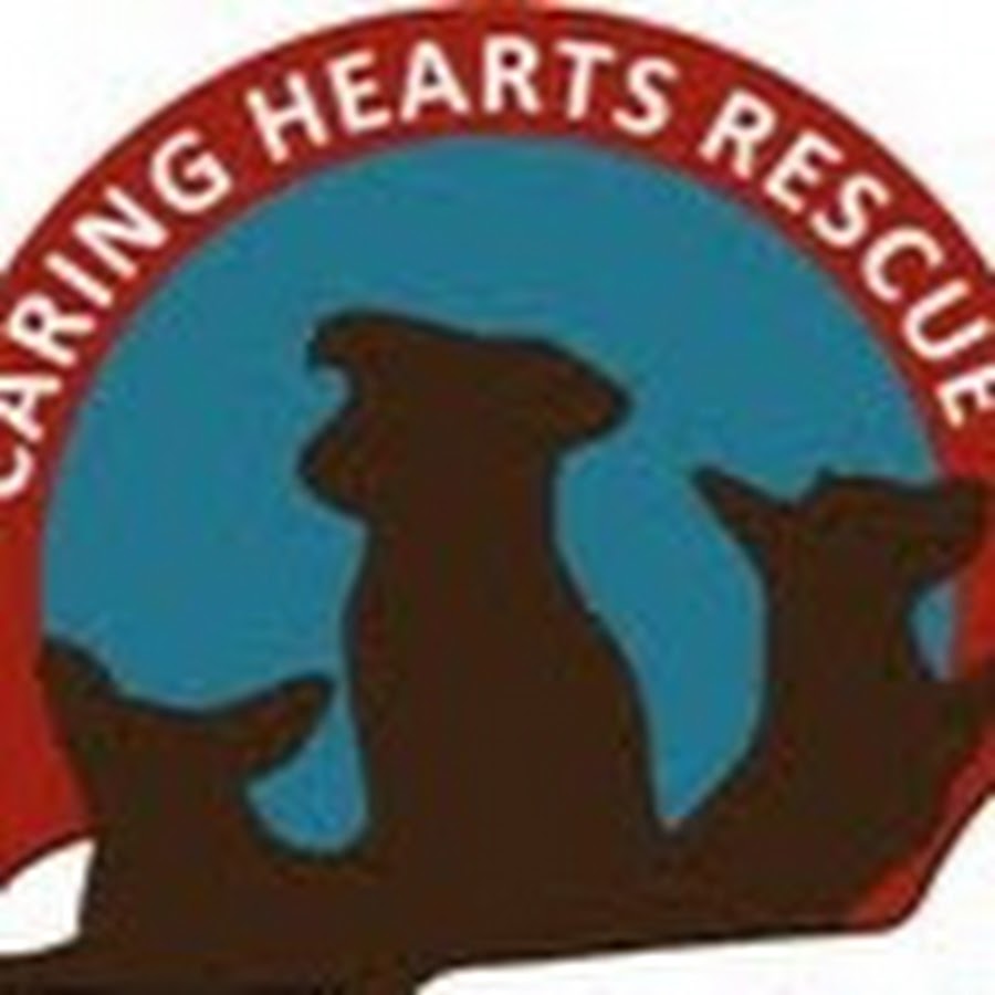 Caring Hearts Rescue - YouTube