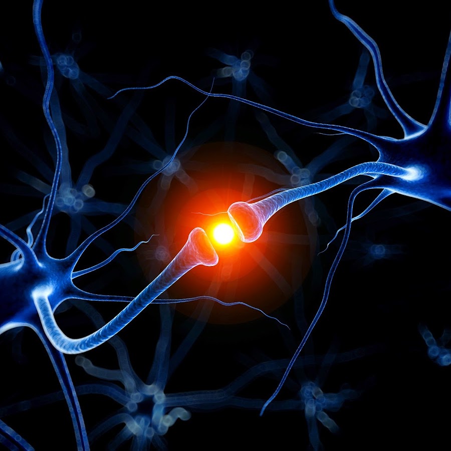 Скорость нейронов в мозге. Нейронные синапсы. Нервный Импульс в нейронах. Нейронные связи головного мозга. Импульсы мозга.