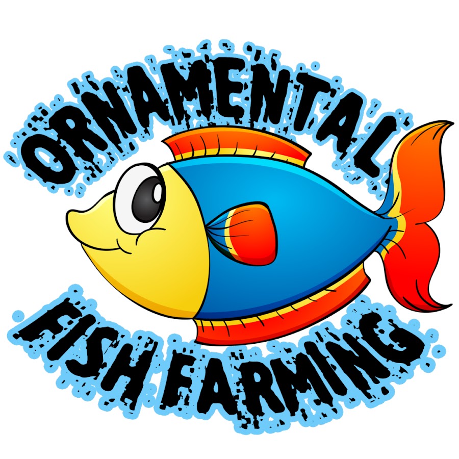 ORNAMENTAL FISH FARMING - YouTube