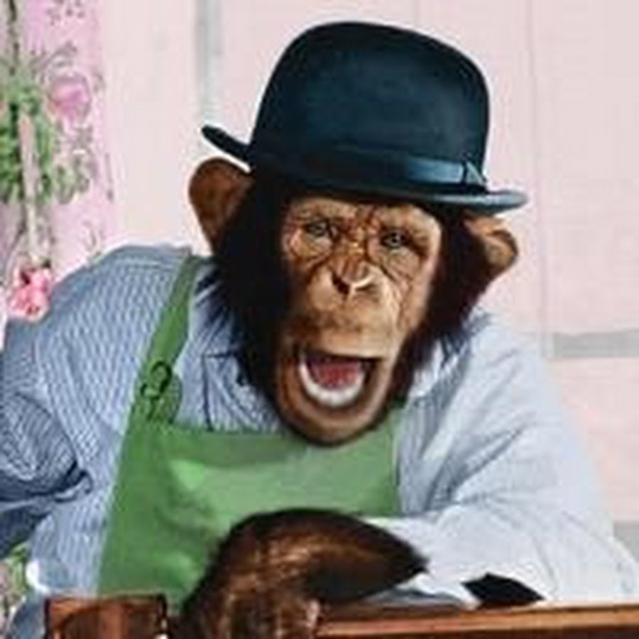 Bananas About Movies YouTube