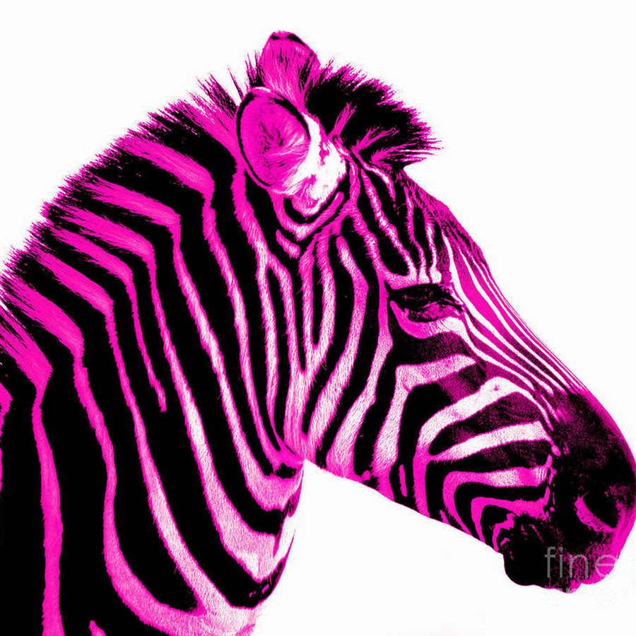 pink zebras 