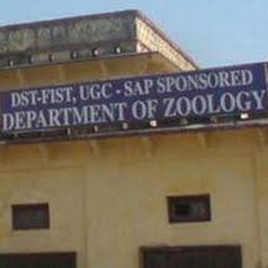 Department of Zoology Lucknow University YouTube