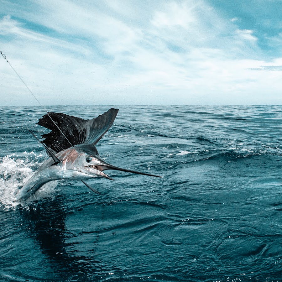 James Noel - YouTube