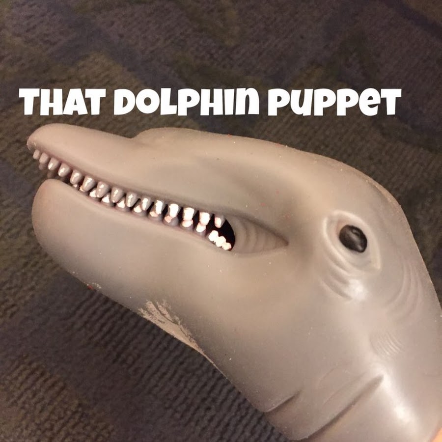 That Dolphin Puppet - YouTube