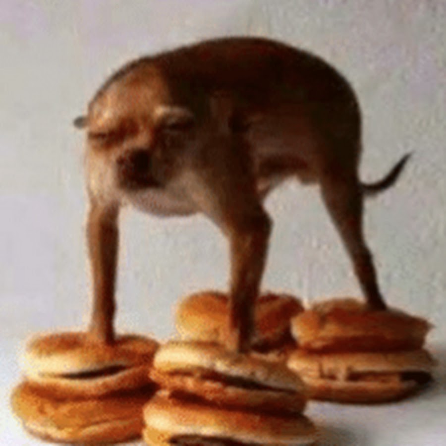 Cheesy wheezy essay 04 image