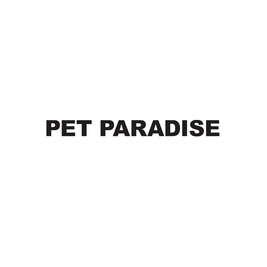 PET PARADISE YouTube