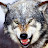 Stalkingwolf avatar