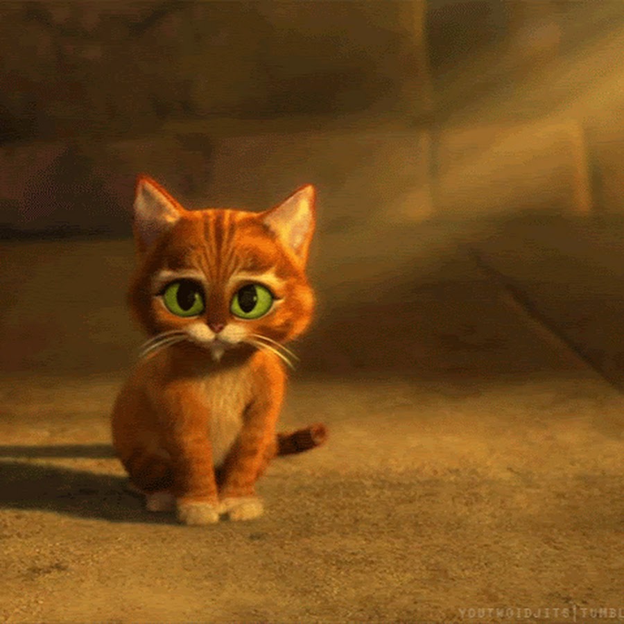 Кот их шрека гифка