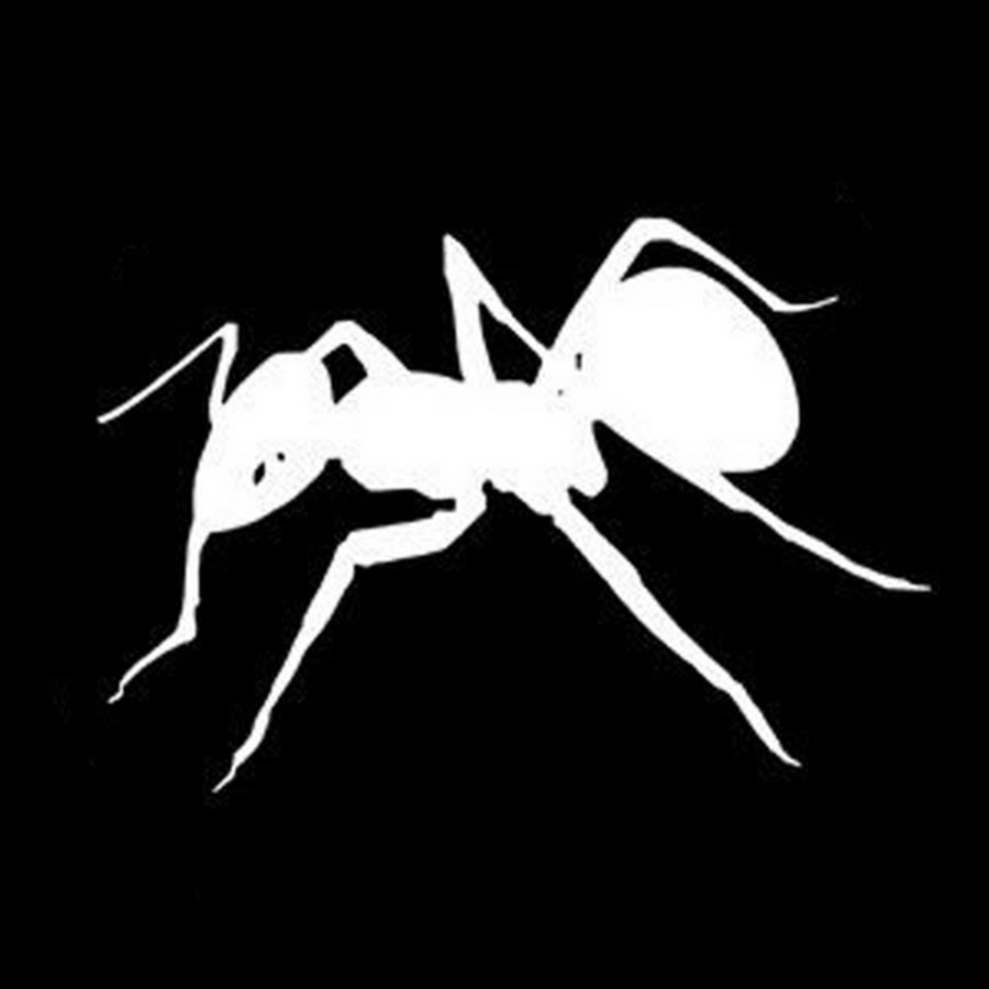 DAP - YouTube