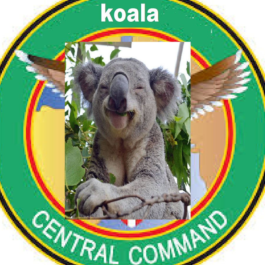 Коала пицца краснознаменск. Коала краснознаменск. Коала пицца краснознаменск. Коала краснознаменск. Коала пицца краснознаменск.