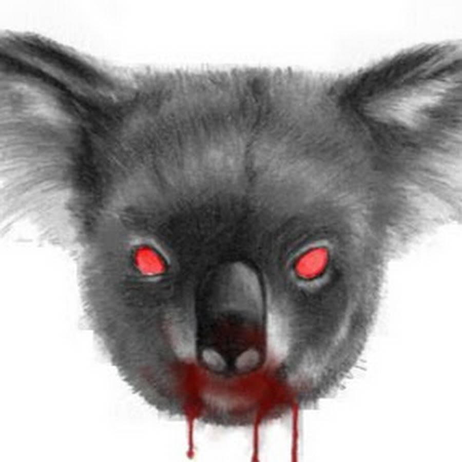 Koala Meat YouTube
