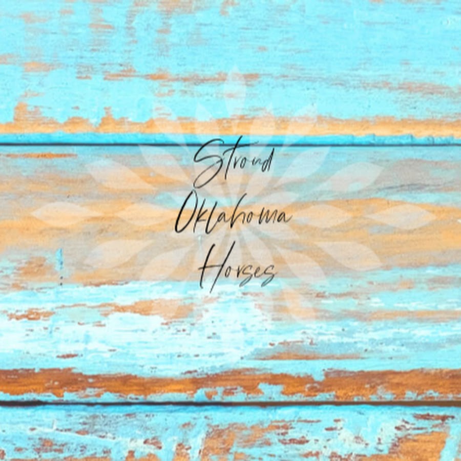 Stroud Oklahoma Kill Pen Horses YouTube
