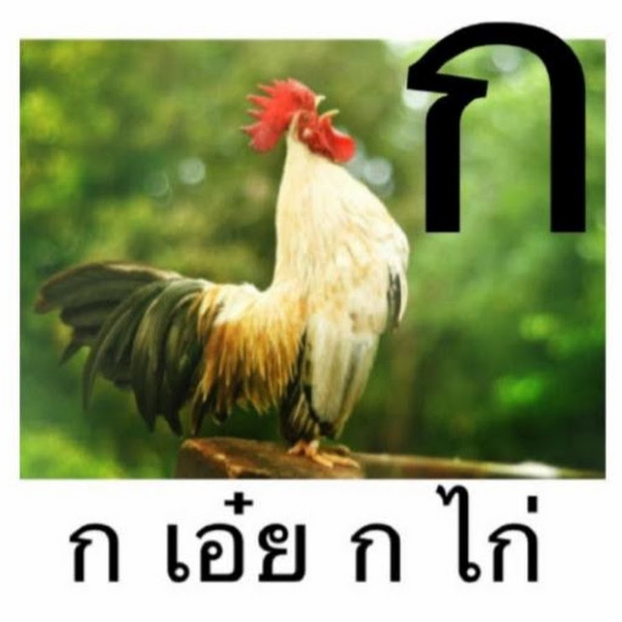 My Image 19