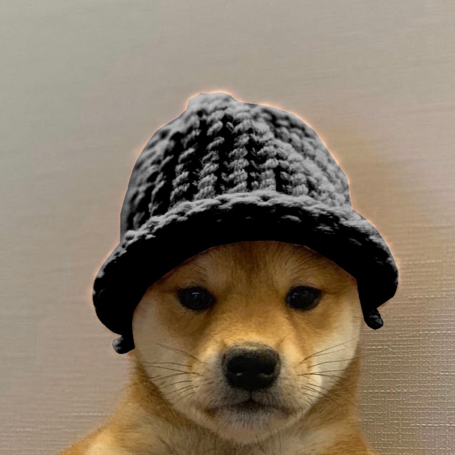 Dogwifhatgang Fortnite