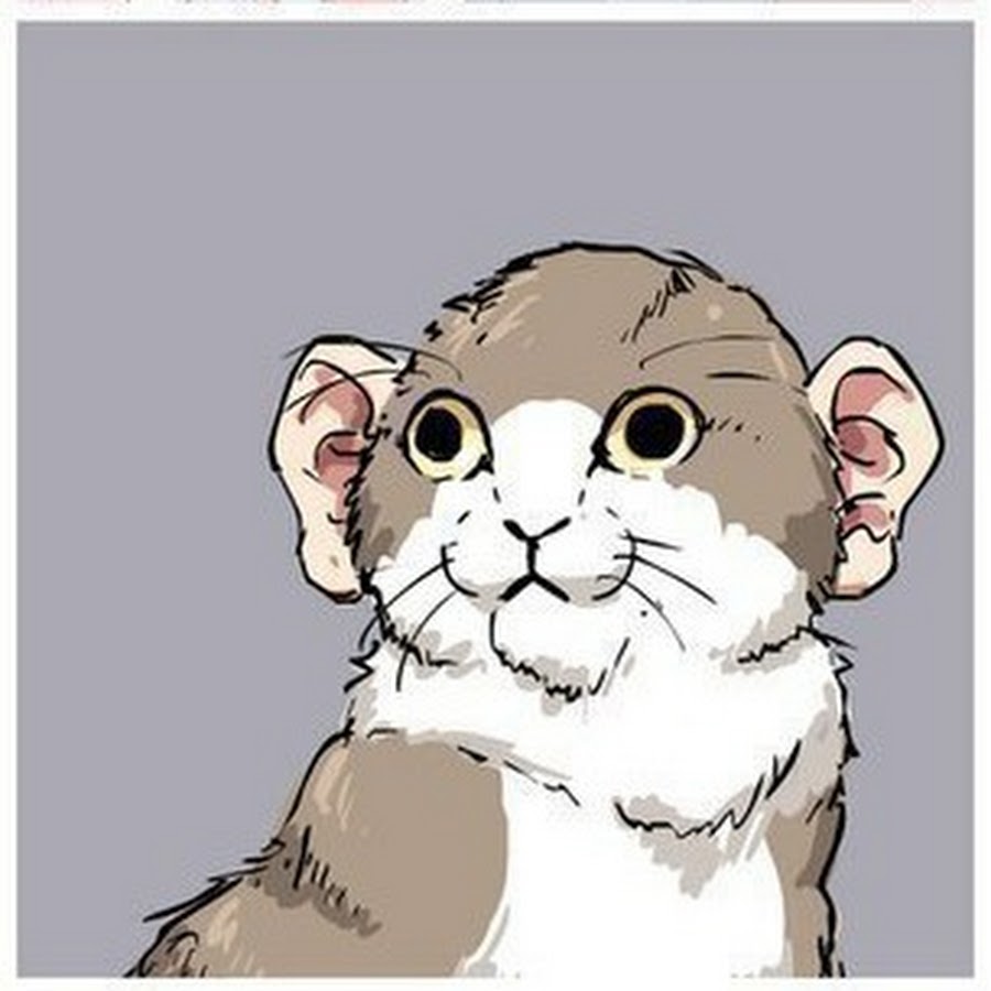 хомяк хома - YouTube