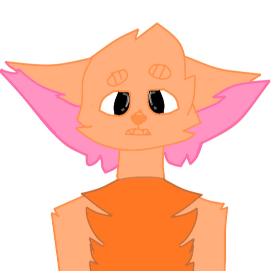 The Phoenix Cat YouTube