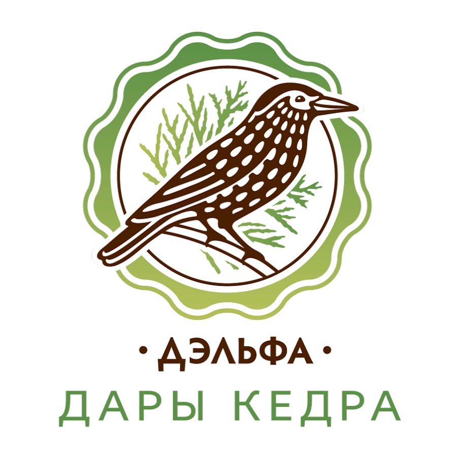 Дельфа Бай Интернет Магазин