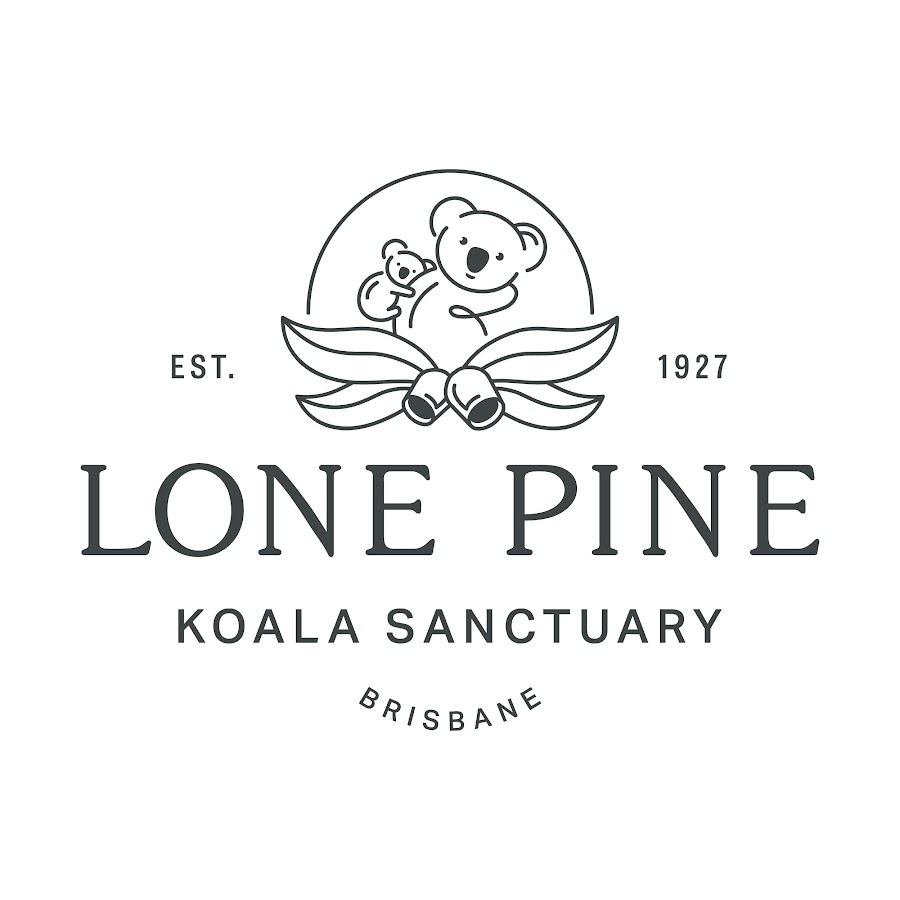 Lone Pine Koala Sanctuary YouTube