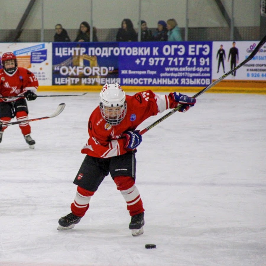 хк центр 2010 эмблема. хк центр. хк центр хоккей. хоккейные команды носороги. центр 2008 хоккей.