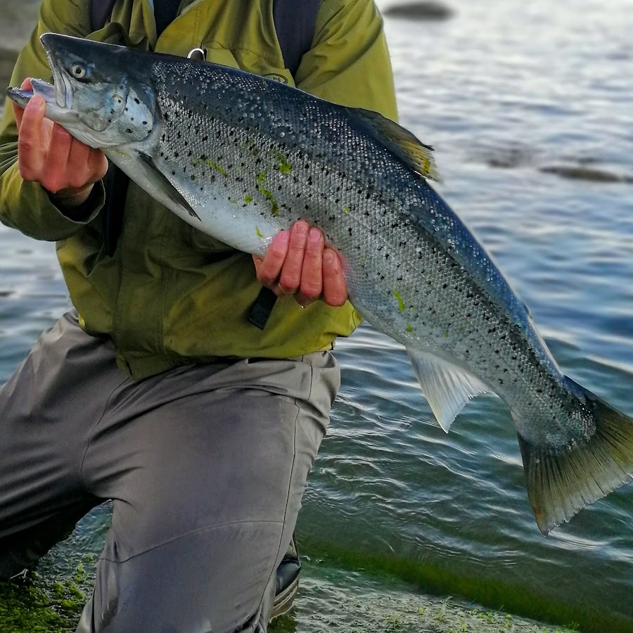 Fishing Sea Trout YouTube
