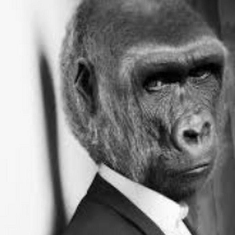 Monkey Man - YouTube