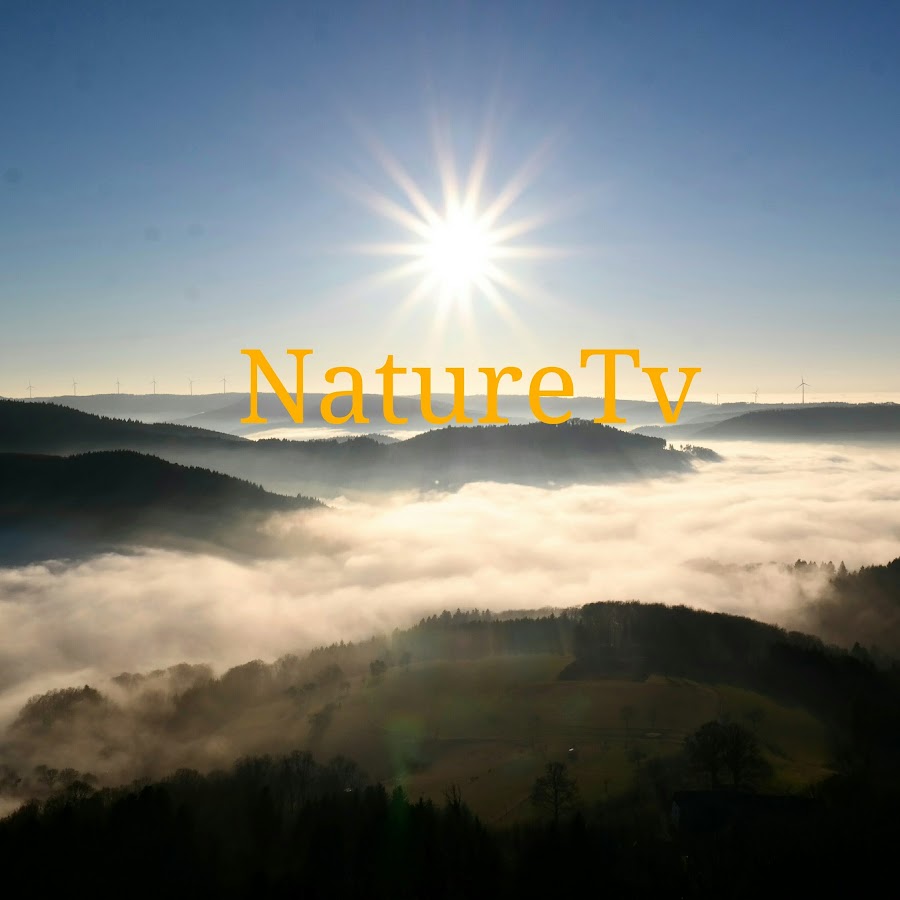 Nature Tv YouTube