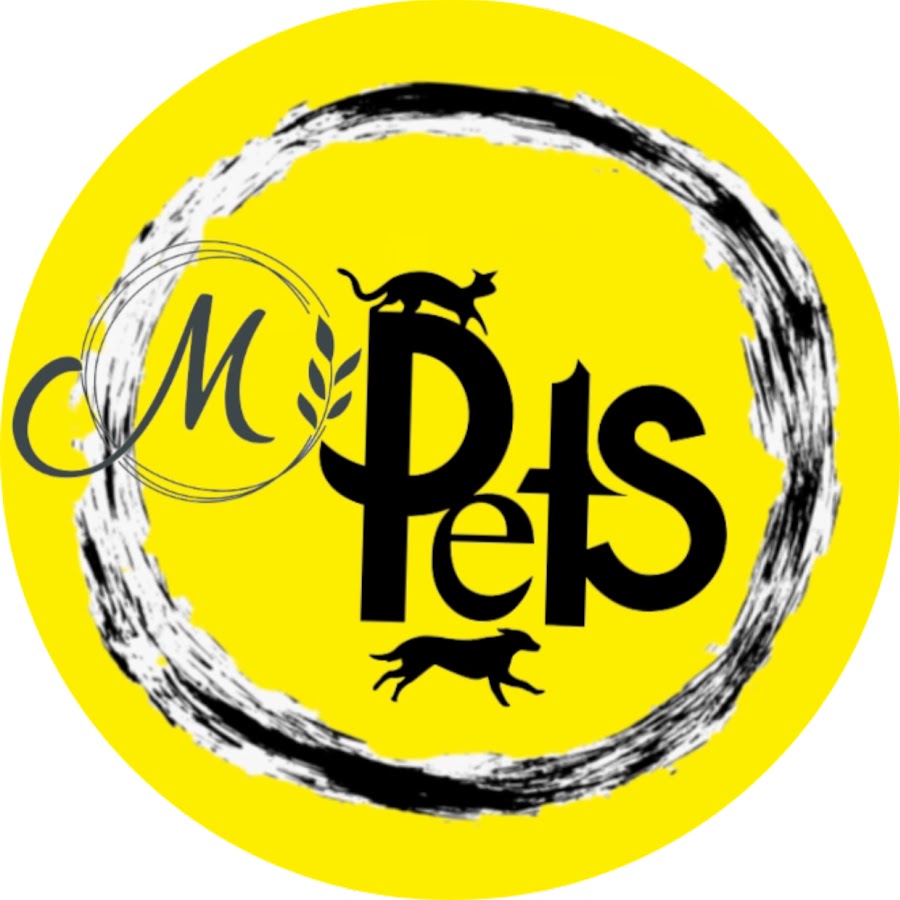 M Pets YouTube