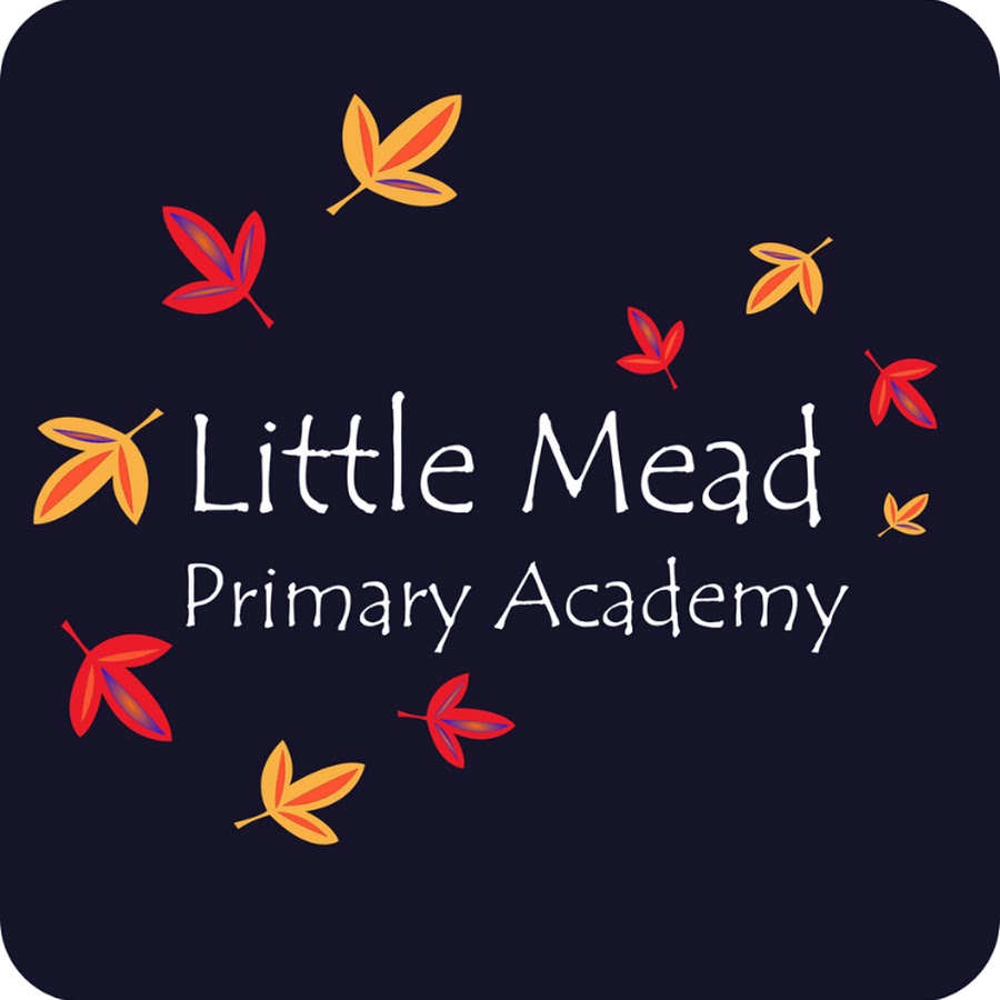 Little Mead Primary Academy YouTube