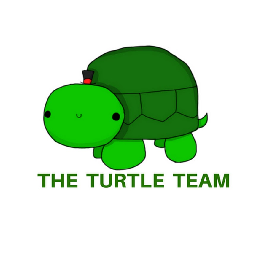 The Turtle Team.