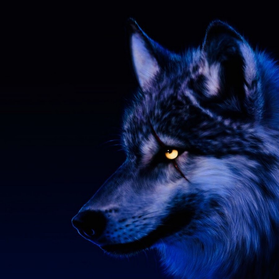 Nightmare the Wolf - YouTube