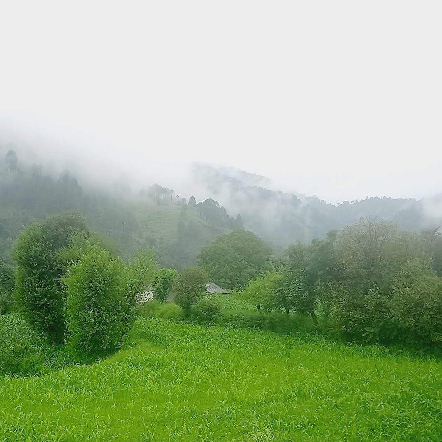 dish installstion YouTube