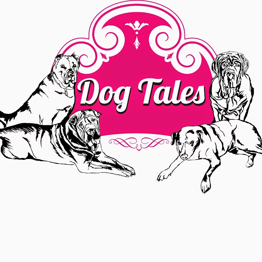 Dog Tales Rescue and Sanctuary YouTube