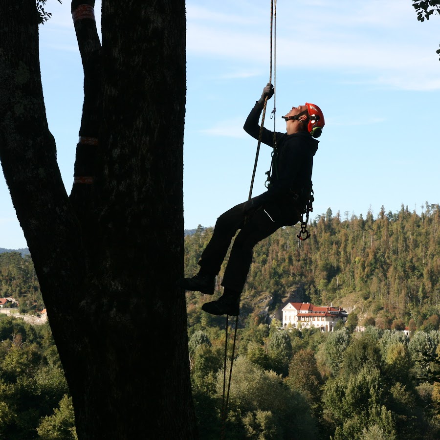 Safe Climbing - YouTube